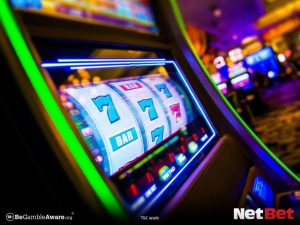 yy77|Aproveite bingo online com dealers reais Ganhe Giros